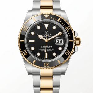 Rolex 126613LN 41mm elite status diver watch isolated premium white background product render